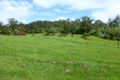 Property photo of 559 Rocks Road Pie Creek QLD 4570