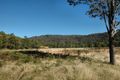 Property photo of 250 Murrays Run Road Murrays Run NSW 2325