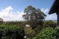 Property photo of 4 Apollo Court Alexandra Headland QLD 4572