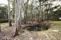 Property photo of 360 Springdale Road Collinsvale TAS 7012