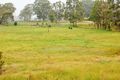 Property photo of 8173 Mount Lindesay Highway Josephville QLD 4285