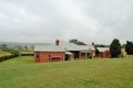 Property photo of 8173 Mount Lindesay Highway Josephville QLD 4285