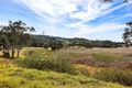 Property photo of 24 Dog Hole Road Stockrington NSW 2322