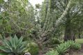 Property photo of 130 Blanchview Road Blanchview QLD 4352