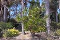 Property photo of 24 Eurabbie Avenue Warabrook NSW 2304