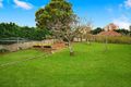 Property photo of 6 Milroy Avenue Kensington NSW 2033