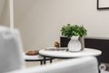 Property photo of 3/7 Curtis Street Norman Park QLD 4170