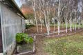 Property photo of 916 Mount McIntyre Road Mount McIntyre SA 5279