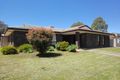 Property photo of 1A Emes Court Athelstone SA 5076