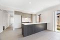 Property photo of 15 Learning Street Coomera QLD 4209