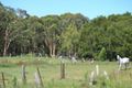 Property photo of 523 Fishery Point Road Bonnells Bay NSW 2264