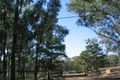 Property photo of 144 Putty Road Wilberforce NSW 2756