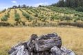 Property photo of 120 McPhersons Road Adventure Bay TAS 7150