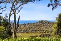 Property photo of 52 Riviera Avenue Avalon Beach NSW 2107