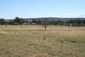 Property photo of 16 Willow Street Warwick QLD 4370