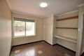 Property photo of 3 Rudall Avenue Newman WA 6753