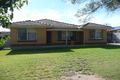 Property photo of 12 Greenwillow Avenue Paradise SA 5075