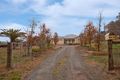 Property photo of 6 Hanna Road Forreston SA 5233