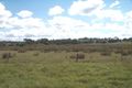 Property photo of 1 Moe-Willow Grove Road Willow Grove VIC 3825