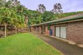 Property photo of 49 Mariners Crescent Banora Point NSW 2486