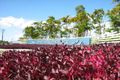 Property photo of 7 Durham Vista Smithfield QLD 4878