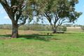 Property photo of 140 Mousehole Lane Boree NSW 2800
