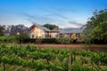 Property photo of 41/2 Oakey Creek Road Pokolbin NSW 2320