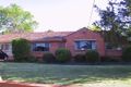 Property photo of 31 Highview Road Balwyn North VIC 3104