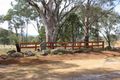 Property photo of 6 Pindari Drive Nemingha NSW 2340