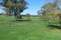 Property photo of 711 Mullins Creek Road Gurrundah NSW 2581