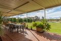 Property photo of 237 Coorong Avenue Irymple VIC 3498