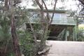 Property photo of 46 Niblick Street Anglesea VIC 3230