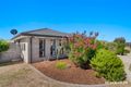Property photo of 74 Greg Urwin Circuit Casey ACT 2913