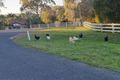 Property photo of 62 Anglesea Crescent Belhus WA 6069