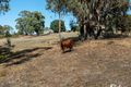 Property photo of 124 Watkins Road Creek Junction VIC 3669