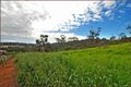 Property photo of 12 King George Avenue Athelstone SA 5076