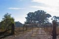 Property photo of 84 McKinnons Road Wilberforce NSW 2756