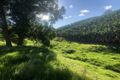 Property photo of 420E Coramba Road Coffs Harbour NSW 2450