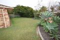 Property photo of 33 Tedford Drive Tewantin QLD 4565