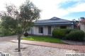 Property photo of 57 Perkins Avenue Enfield SA 5085