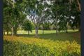 Property photo of 920 Medinah Avenue Robina QLD 4226