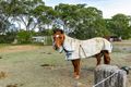 Property photo of 85 King Street Rossmore NSW 2557