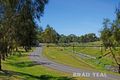 Property photo of 13 Willonga Street Strathmore VIC 3041