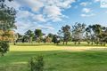 Property photo of 6 Oleander Drive Banksia Park SA 5091