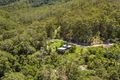 Property photo of 974 Cedar Creek Road Cedar Creek QLD 4520