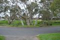 Property photo of 5 Leslie Crescent Tea Tree Gully SA 5091