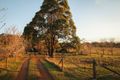 Property photo of 237 Hampton Road Merritts Creek QLD 4352