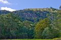 Property photo of LOT 29/19 The Bluff Court Cedar Creek QLD 4520