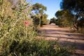 Property photo of 11 Verdi Boulevard Irymple VIC 3498