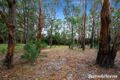 Property photo of 247 Waterloo Flat Road Bullengarook VIC 3437